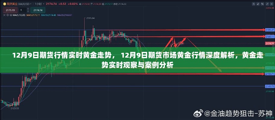 12月9日期货行情实时黄金走势， 12月9日期货市场黄金行情深度解析，黄金走势实时观察与案例分析