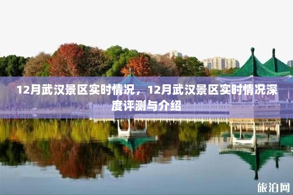 12月武汉景区实时深度评测与介绍