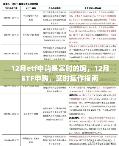 12月ETF实时申购操作指南，实时操作与注意事项解读