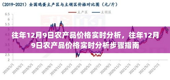 往年12月9日农产品价格实时分析与步骤指南