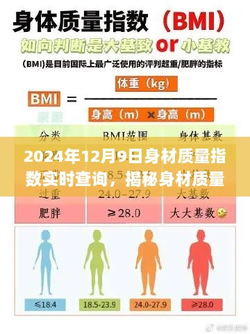 2024年身材质量指数实时查询系统揭秘，最新洞察与BMI实时跟踪