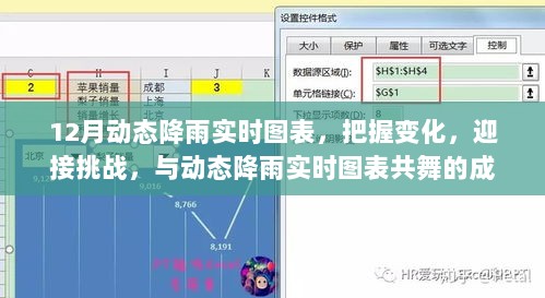 动态降雨实时图表，把握变化，共舞成长之旅