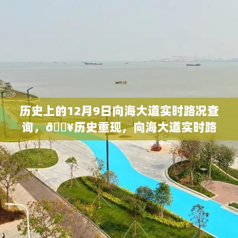 智能导航新纪元，历史路况重现，向海大道实时路况尽在掌控