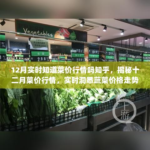 揭秘十二月蔬菜价格走势，实时洞悉菜价行情知乎分析