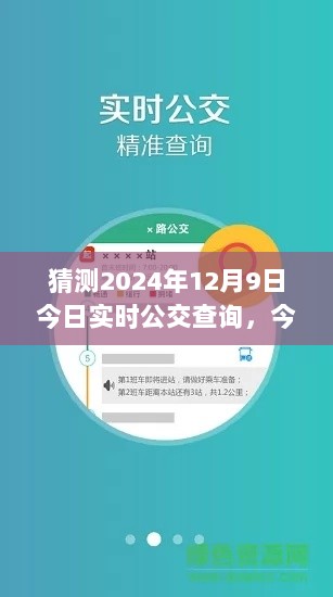 2024年12月9日实时公交查询步骤指南