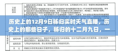 历史上的十二月九日，秭归天气直播之旅的心灵体验