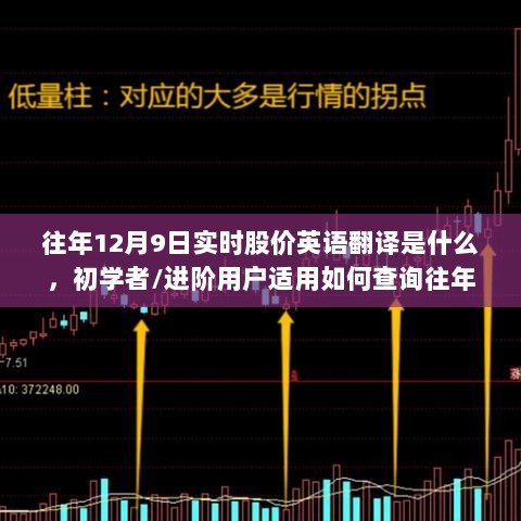 如何查询往年12月9日实时股价的英语翻译及详细步骤指南（初学者/进阶用户适用）