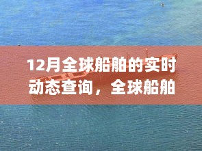 全球船舶实时动态查询，掌握海洋运输脉搏的特别报道（12月版）