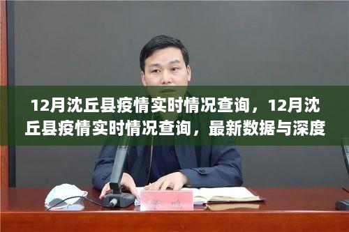 12月沈丘县疫情实时情况查询，最新数据与深度分析