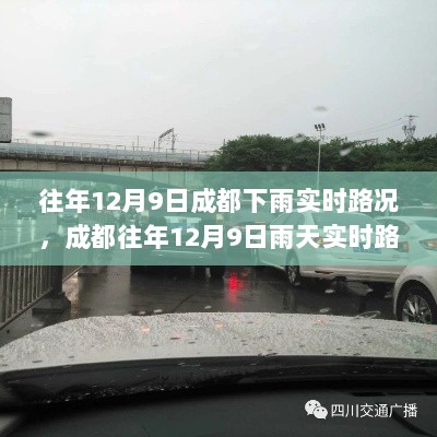 成都历年12月9日雨天实时路况详解，行车指南与应对技巧