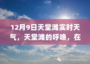 12月9日天堂滩天气，金色阳光下的自然与心灵之旅