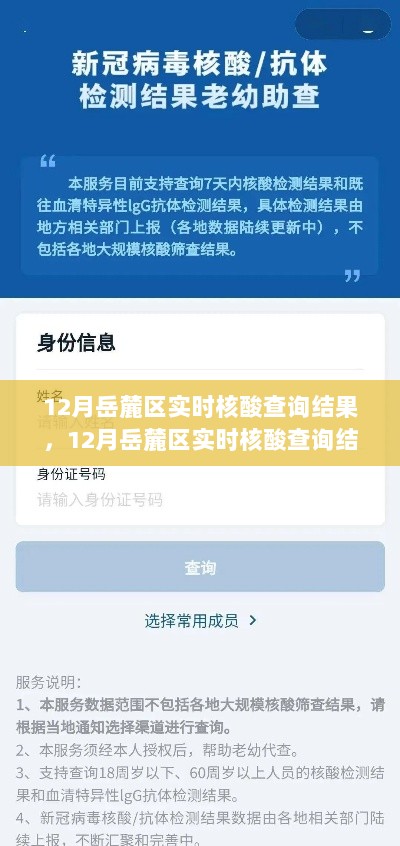 岳麓区十二月核酸检测结果及分析，实时数据解读与观点探讨