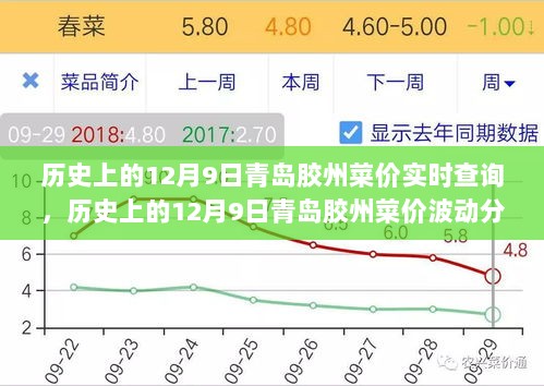 历史上的12月9日青岛胶州菜价波动分析与现代启示，实时查询揭示的启示返回搜狐查看更多