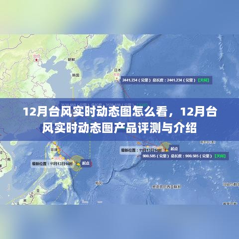 12月台风实时动态图解析与产品评测，掌握台风动态，一览无余