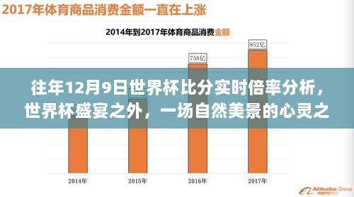 世界杯盛宴之外的心灵之旅，揭秘世界杯比分魔法与自然美景的双重魅力（往年世界杯比分实时倍率分析）