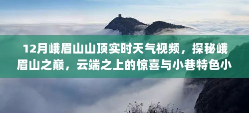 探秘峨眉山之巅，实时天气视频与云端之上的惊喜及小巷特色小店的奇缘