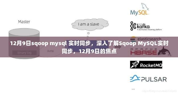 深入了解Sqoop MySQL实时同步，12月9日的焦点解析