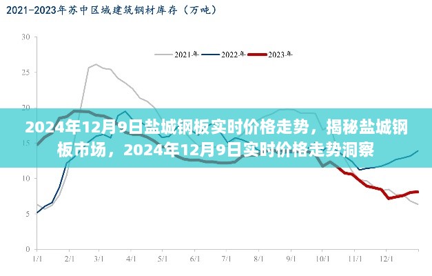 2024年12月10日 第46页