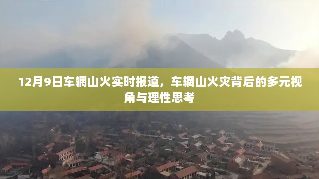 车辋山火灾背后的多元视角与理性思考，实时报道分析