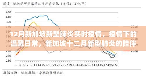 新加坡十二月新型肺炎疫情下的温馨日常与陪伴之旅