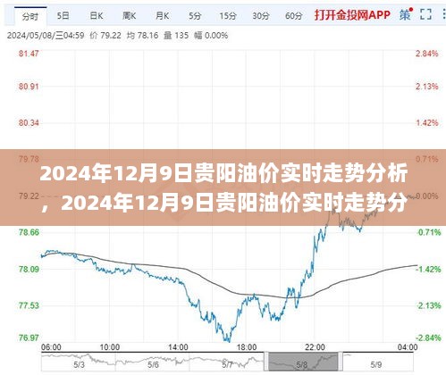 多维度视角下的观点碰撞，2024年12月9日贵阳油价实时走势分析