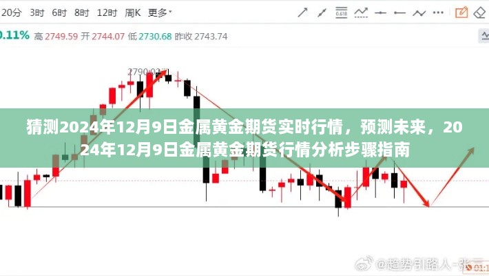 2024年12月9日金属黄金期货行情预测与实时行情分析指南，未来走势深度解读