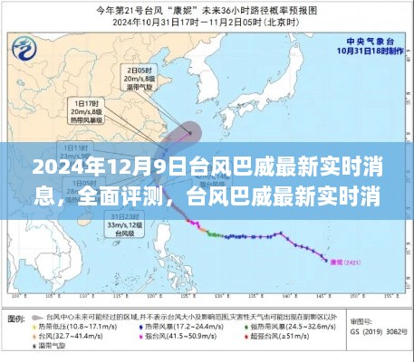 台风巴威最新实时消息评测与竞品对比，全面解读