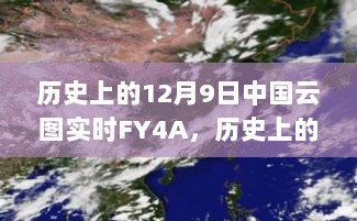 2024年12月10日 第37页