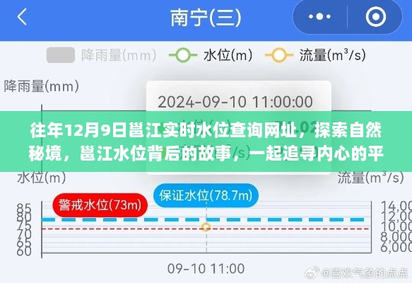 邕江水位查询网址揭秘，追寻内心的平静之旅，探索自然秘境背后的故事