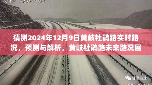 黄岐杜鹃路未来路况展望，以2024年12月9日为例的预测与解析报告