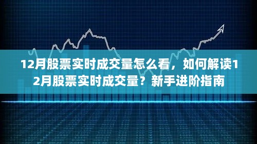 新手进阶指南，如何查看并解读12月股票实时成交量？