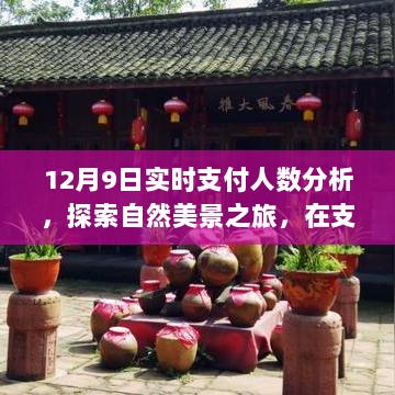 12月9日实时支付人数分析与自然美景探索之旅，支付浪潮中的内心宁静