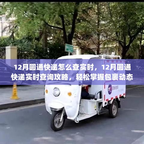 掌握包裹动态，12月圆通快递实时查询攻略