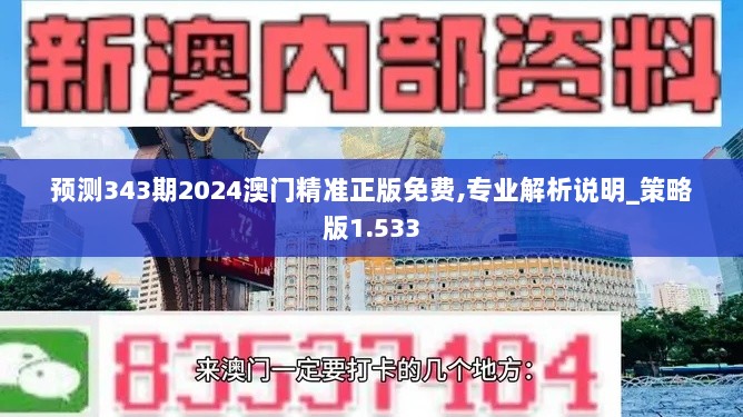 预测343期2024澳门精准正版免费,专业解析说明_策略版1.533