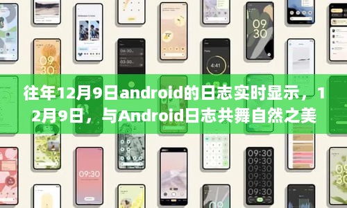 12月9日Android日志实时显示，共舞自然之美，探寻内心宁静之旅