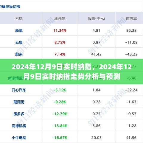 2024年12月9日纳指实时走势分析，市场预测与深度解读