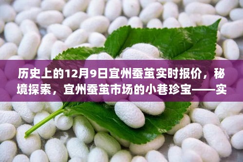 秘境探索与蚕茧市场实时报价，宜州蚕茧背后的故事与报价历史回顾