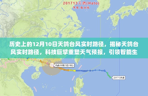 揭秘天鸽台风实时路径，科技重塑天气预报，引领智能生活新时代