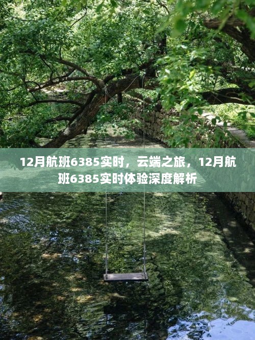 云端之旅，深度解析12月航班6385实时体验