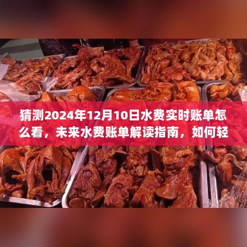 未来水费账单解读指南，如何轻松查看和理解2024年12月10日的实时水费账单详解