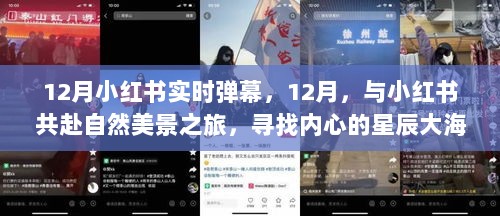 小红书12月实时弹幕，共赴自然美景之旅，探寻内心的星辰大海