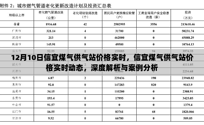 信宜煤气供气站价格实时动态，深度解析与案例分析（最新动态）