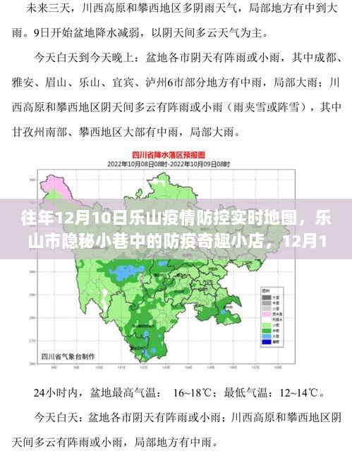 乐山市疫情防控实时地图揭秘，防疫奇趣小店与隐秘小巷的独特风景