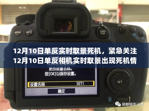 揭秘，单反相机实时取景死机问题解决方案——紧急关注12月10日单反故障处理指南