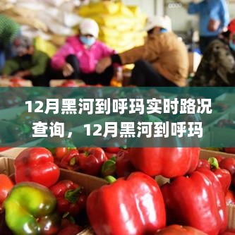 12月黑河到呼玛实时路况查询，掌握路况，无忧出行