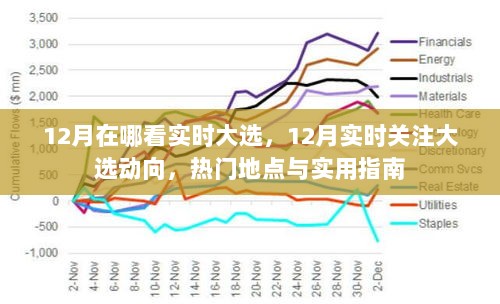 12月大选实时关注指南，热门地点与实用指南助你洞悉大选动向