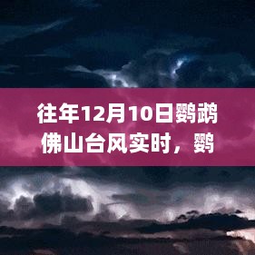 鹦鹉佛山台风观测与应对指南，实时观测及应对建议（适合初学者与进阶用户）