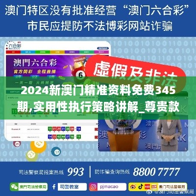 2024新澳门精准资料免费345期,实用性执行策略讲解_尊贵款4.632