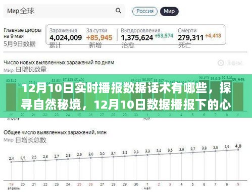探寻自然秘境的心灵之旅，揭秘12月10日实时播报数据话术与数据播报下的探险之旅