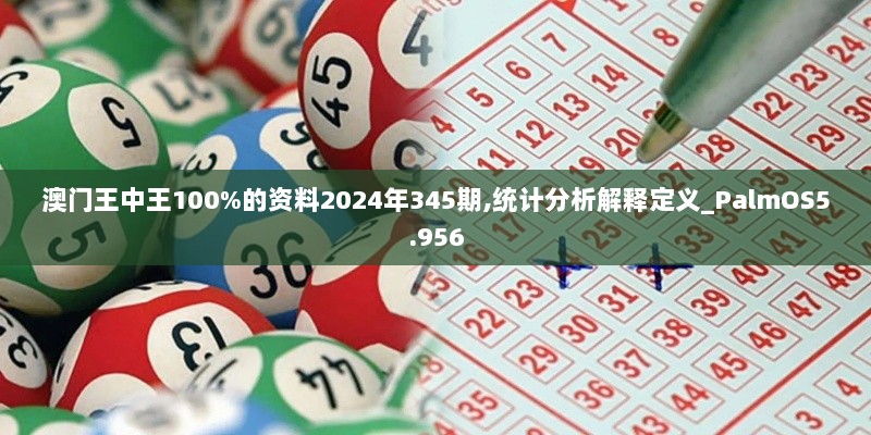 澳门王中王100%的资料2024年345期,统计分析解释定义_PalmOS5.956